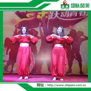 公司团队